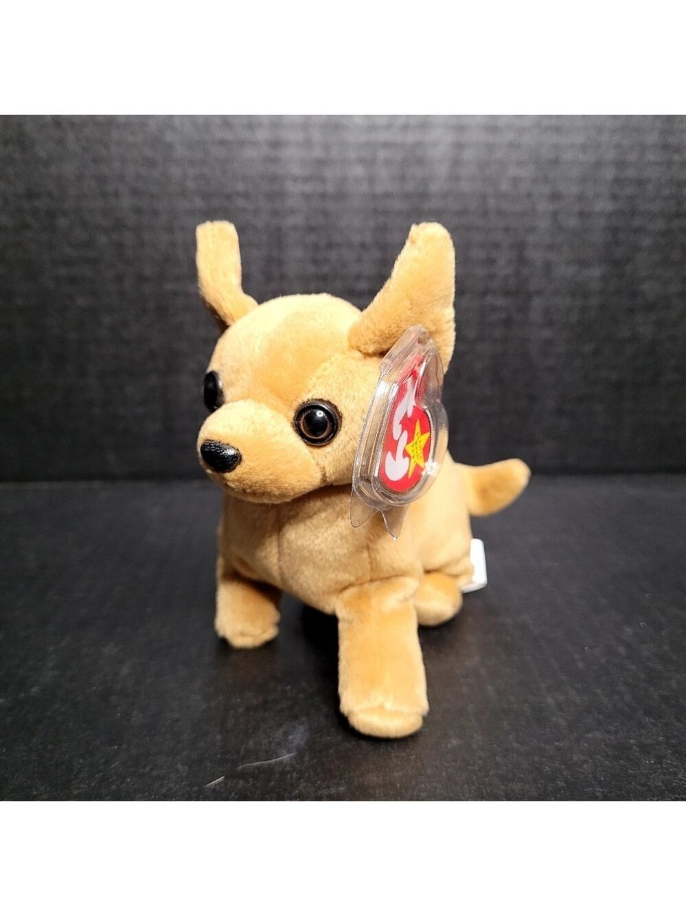 TY Beanie Babies Tiny The Chihuahua